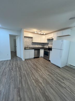 Renovated 1-Bedroom Oasis near Cornell | University Park – photo 1