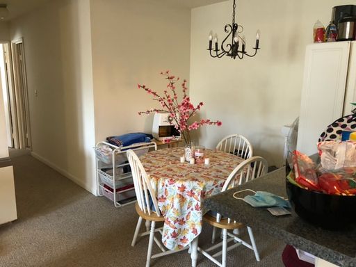 2-Bedroom, 1-Bath Apartment near Cornell | University Park – photo 1