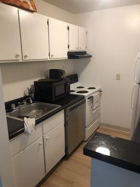 Renovated 1-Bedroom Bliss near Cornell | University Park – photo 1