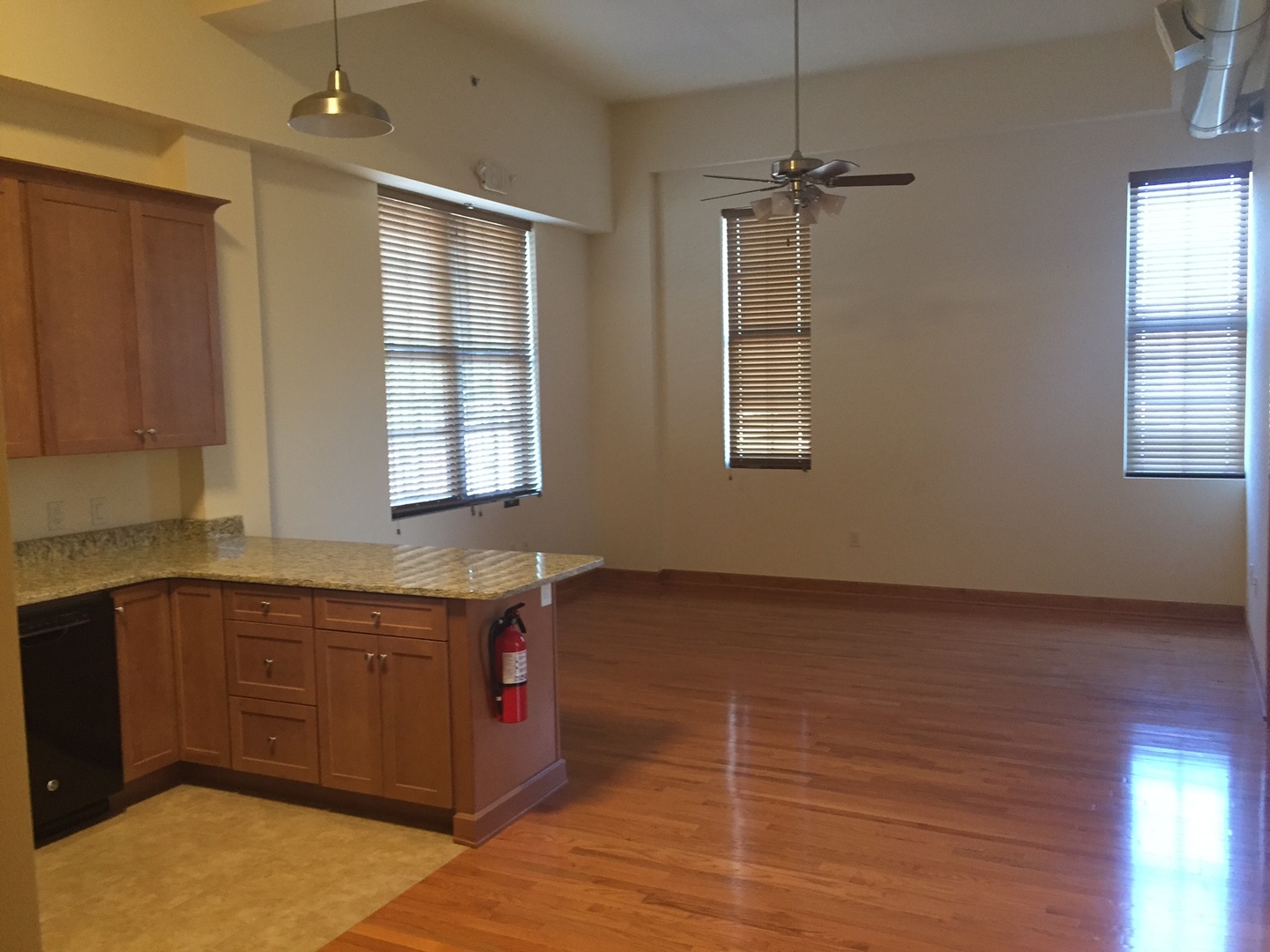 Easton Apartment: 323 Pine St.