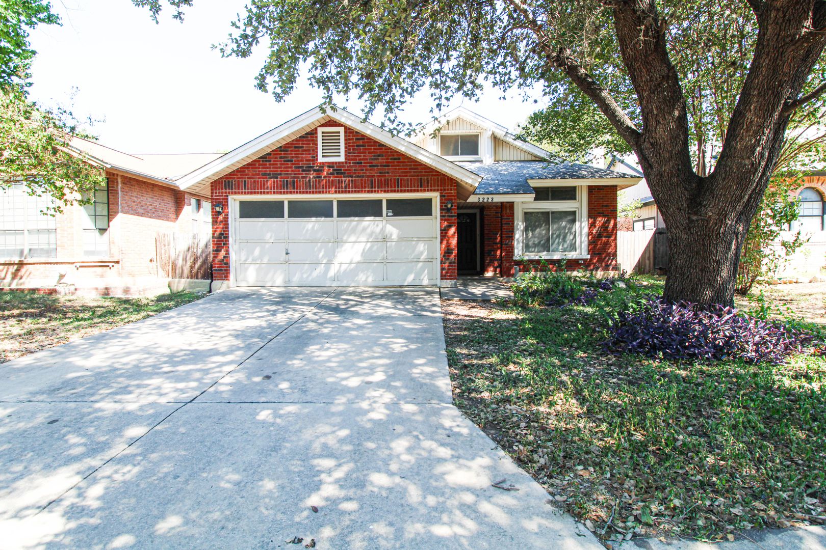 San Antonio House: 3223 Tree Grove