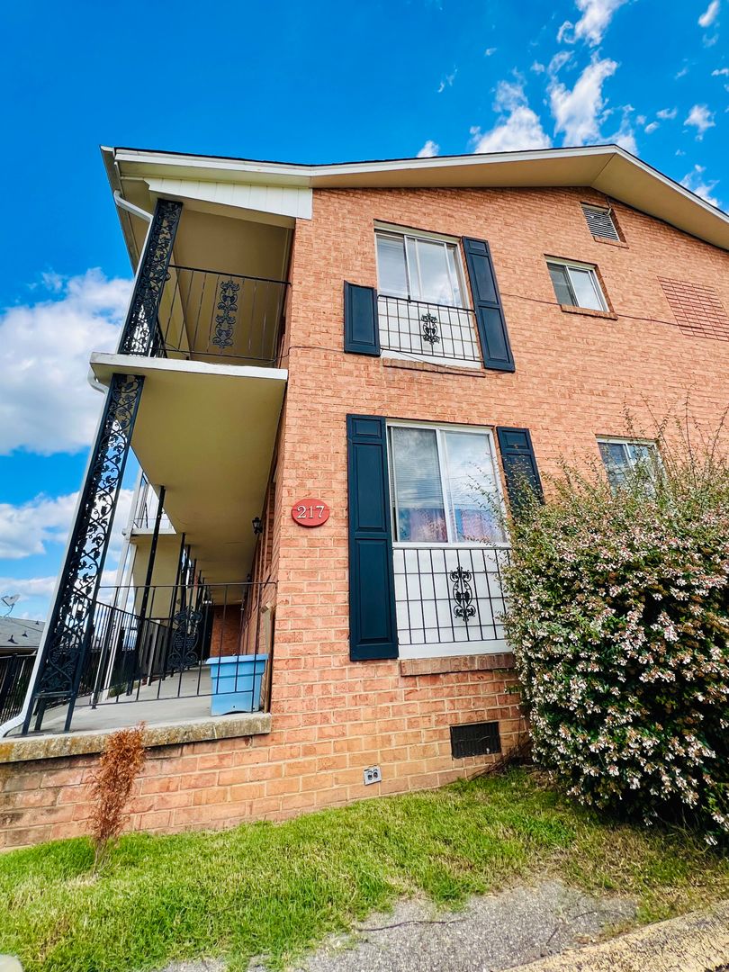 Roanoke Apartment: 217 Mountain Avenue, SW Unit 7