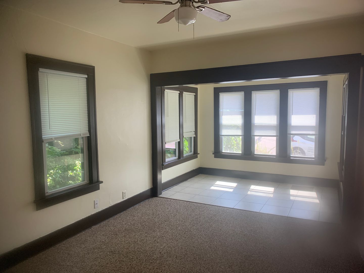 Janesville Apartment: 109 - 111 E. Van Buren St