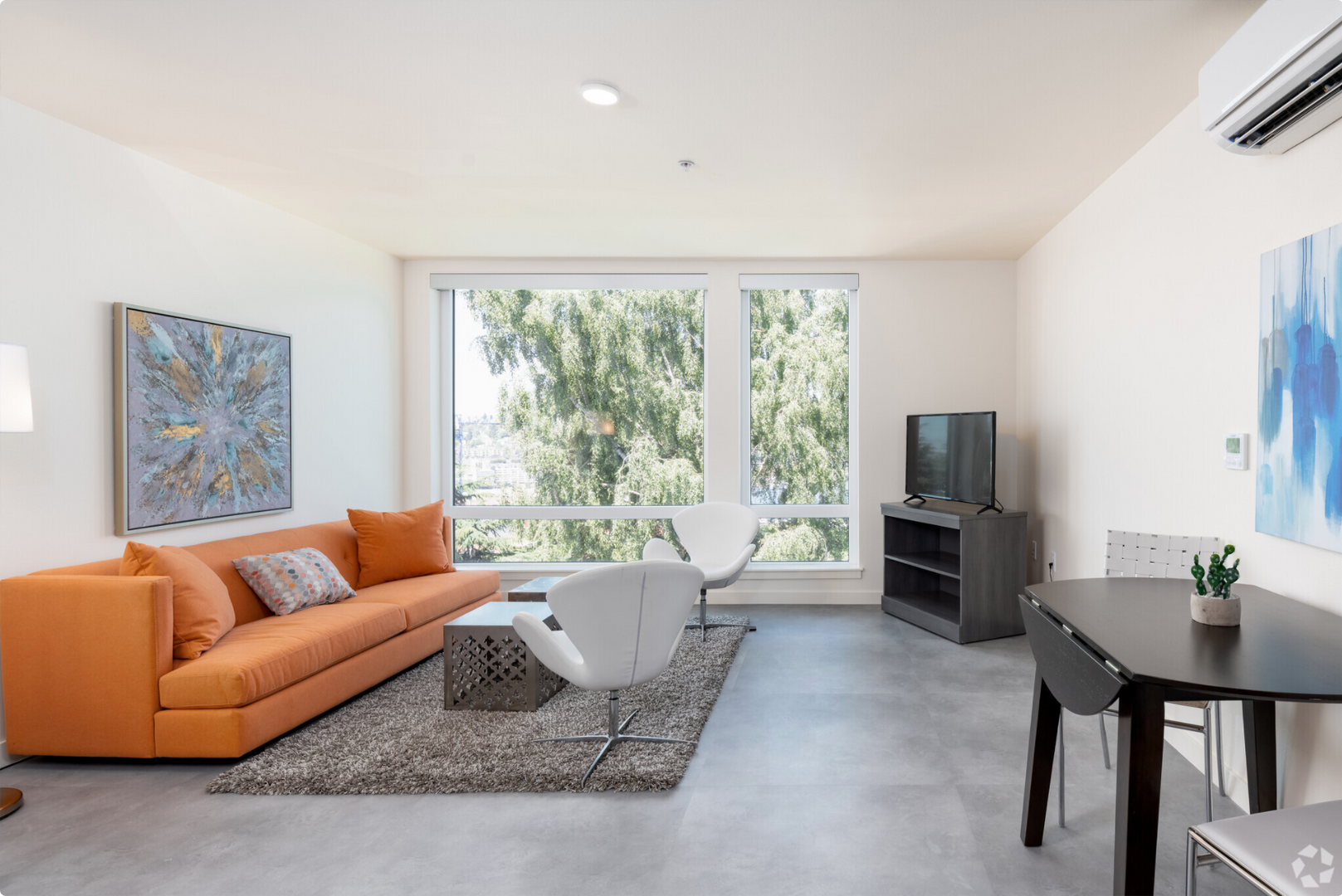 Seattle Apartment: 736 Bellevue Pl E