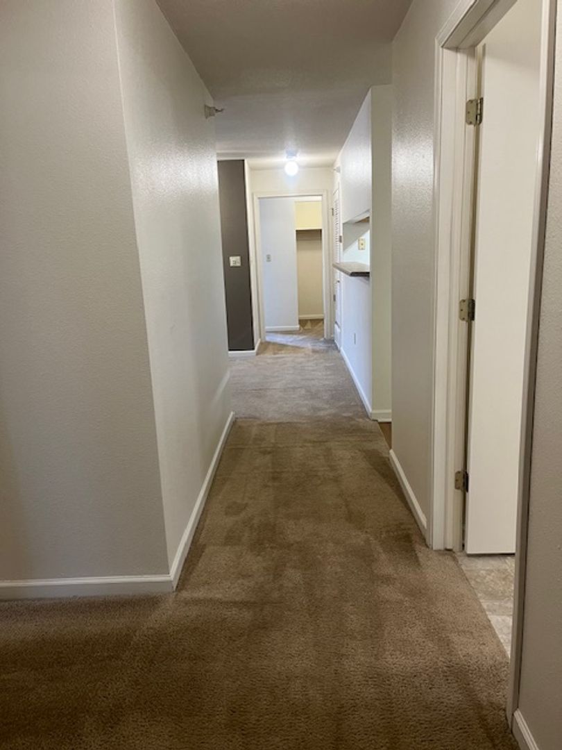 Lincoln Apartment: 3811 Baldwin Ave.