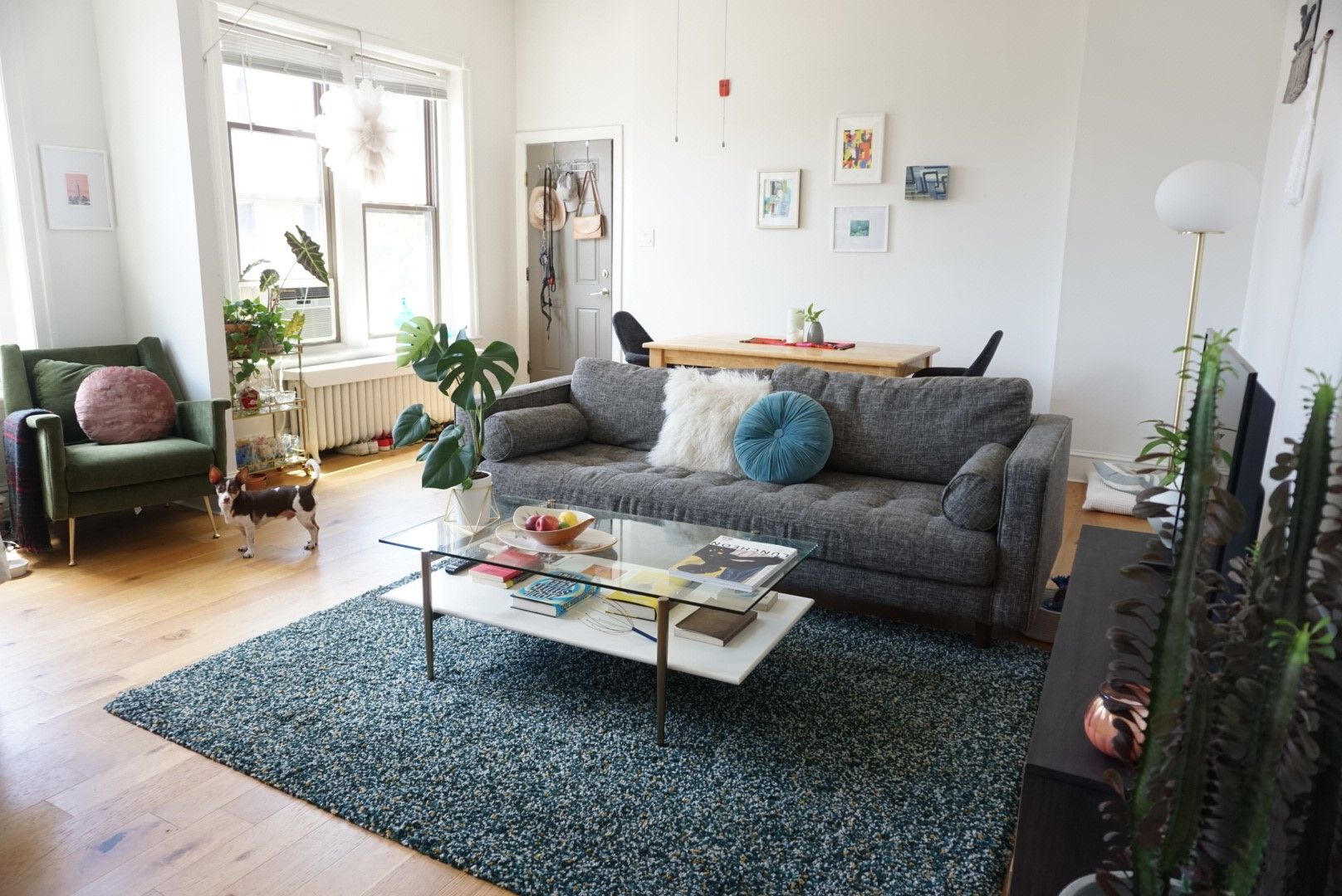 Philadelphia Apartment: 1443 S Broad St