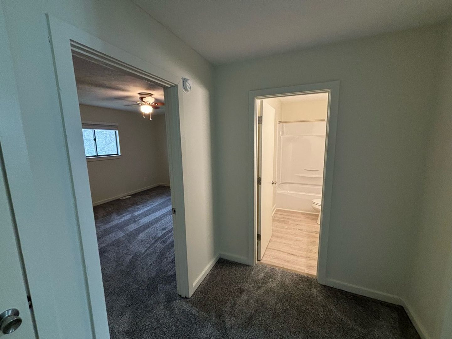 winchester Apartment: 329-337 S. burns ave.