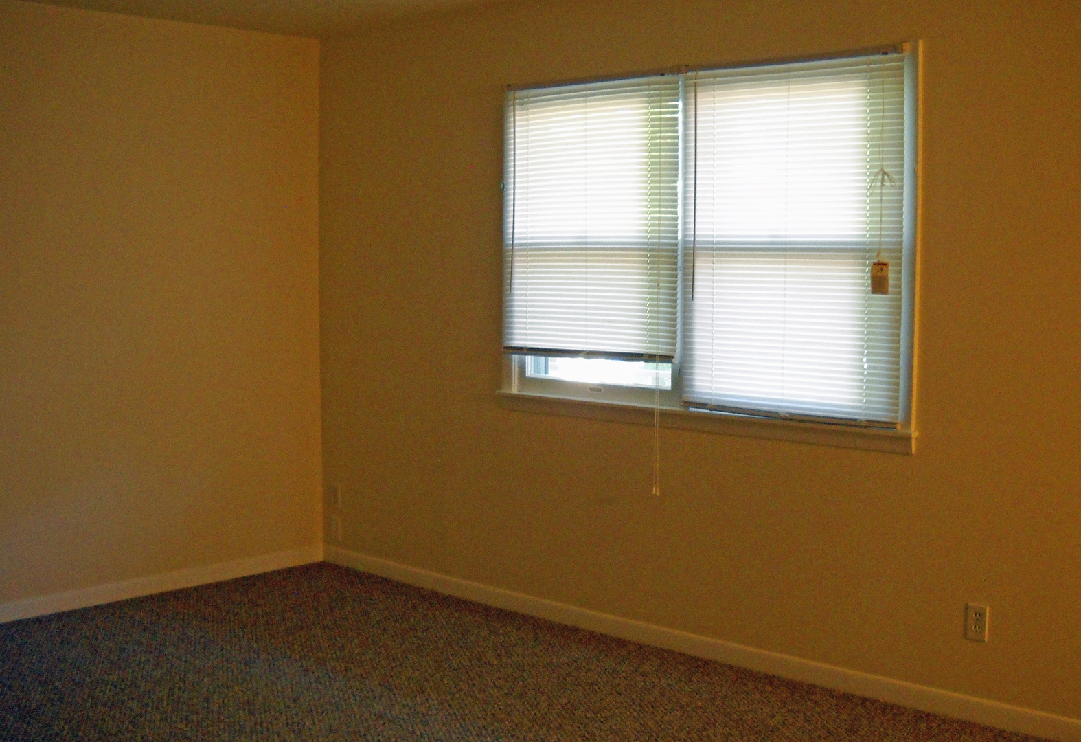 Champaign Apartment: 407 W. White St.