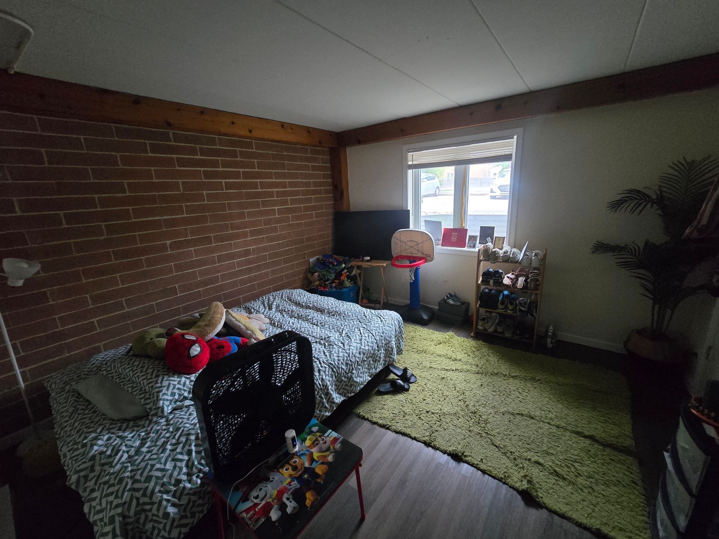 Urbana Apartment: 505 W. Springfield Ave