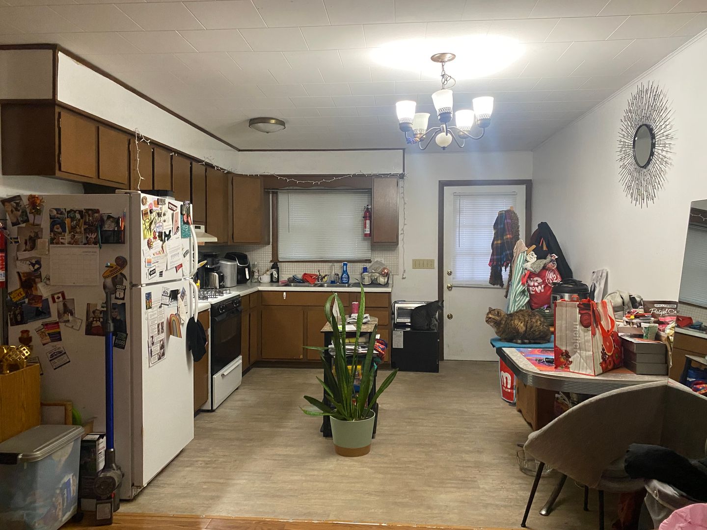 Urbana Apartment: 204 E. Oregon