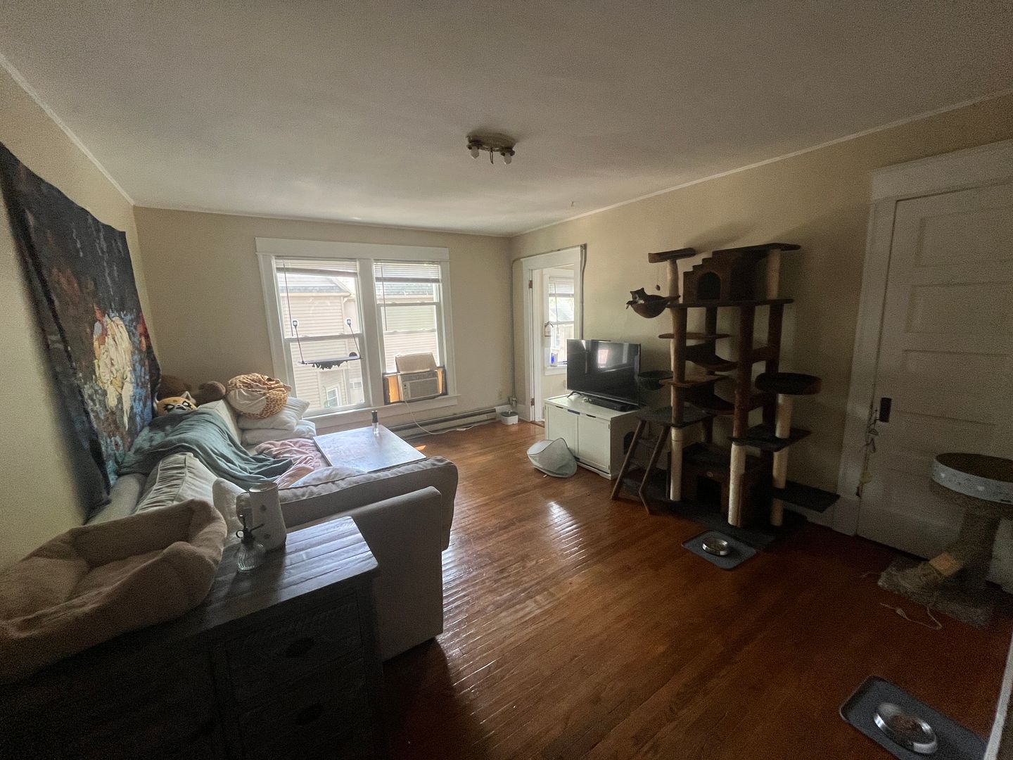 Champaign Apartment: 503 W. Green St.