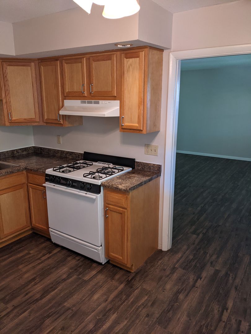 Champaign Apartment: 407 W. White St.