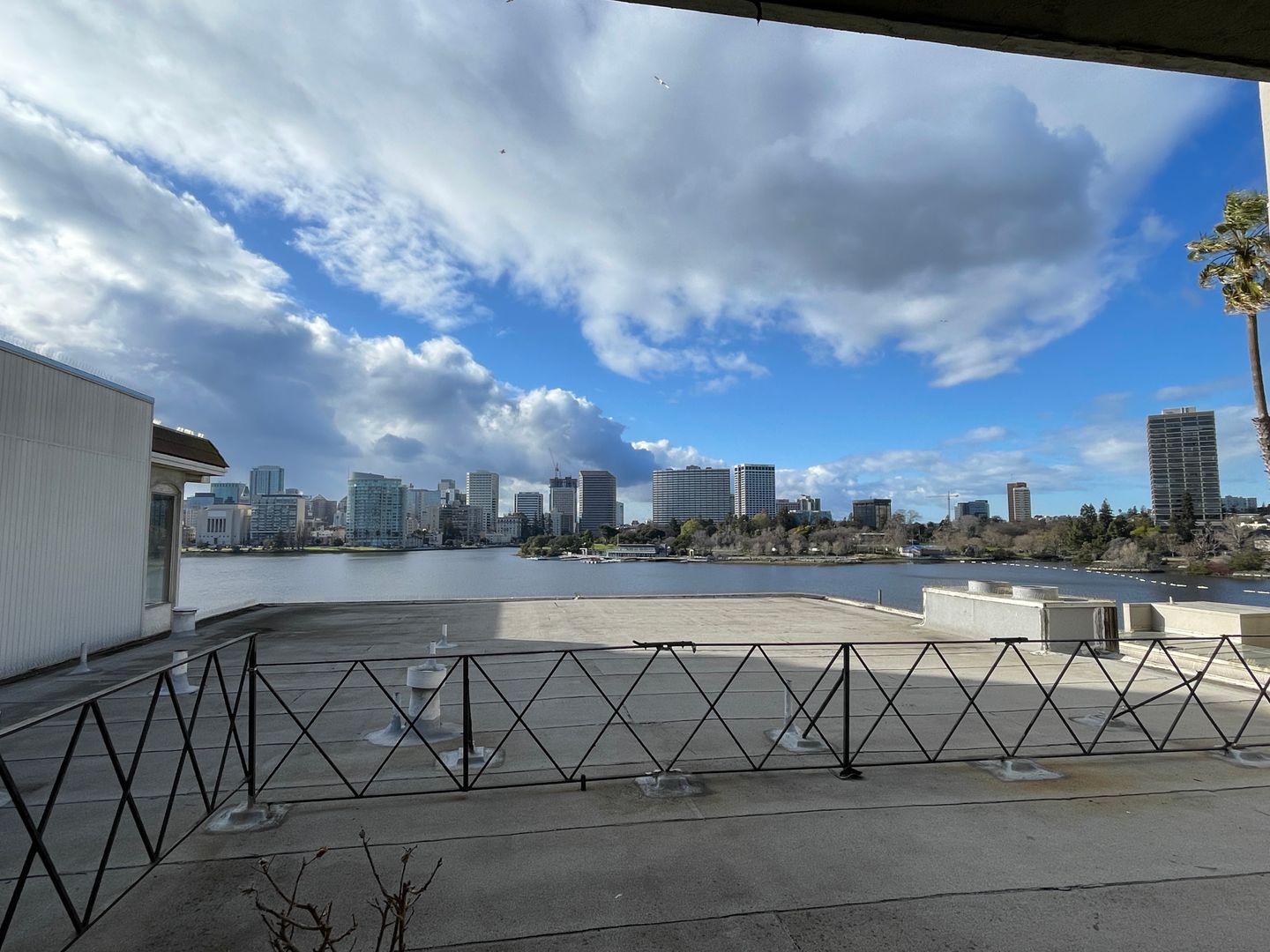 Oakland Apartment: 321 Wayne Ave.