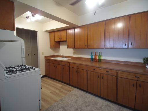Oak View Manor -Spacious Top Floor One Bedroom – photo 1
