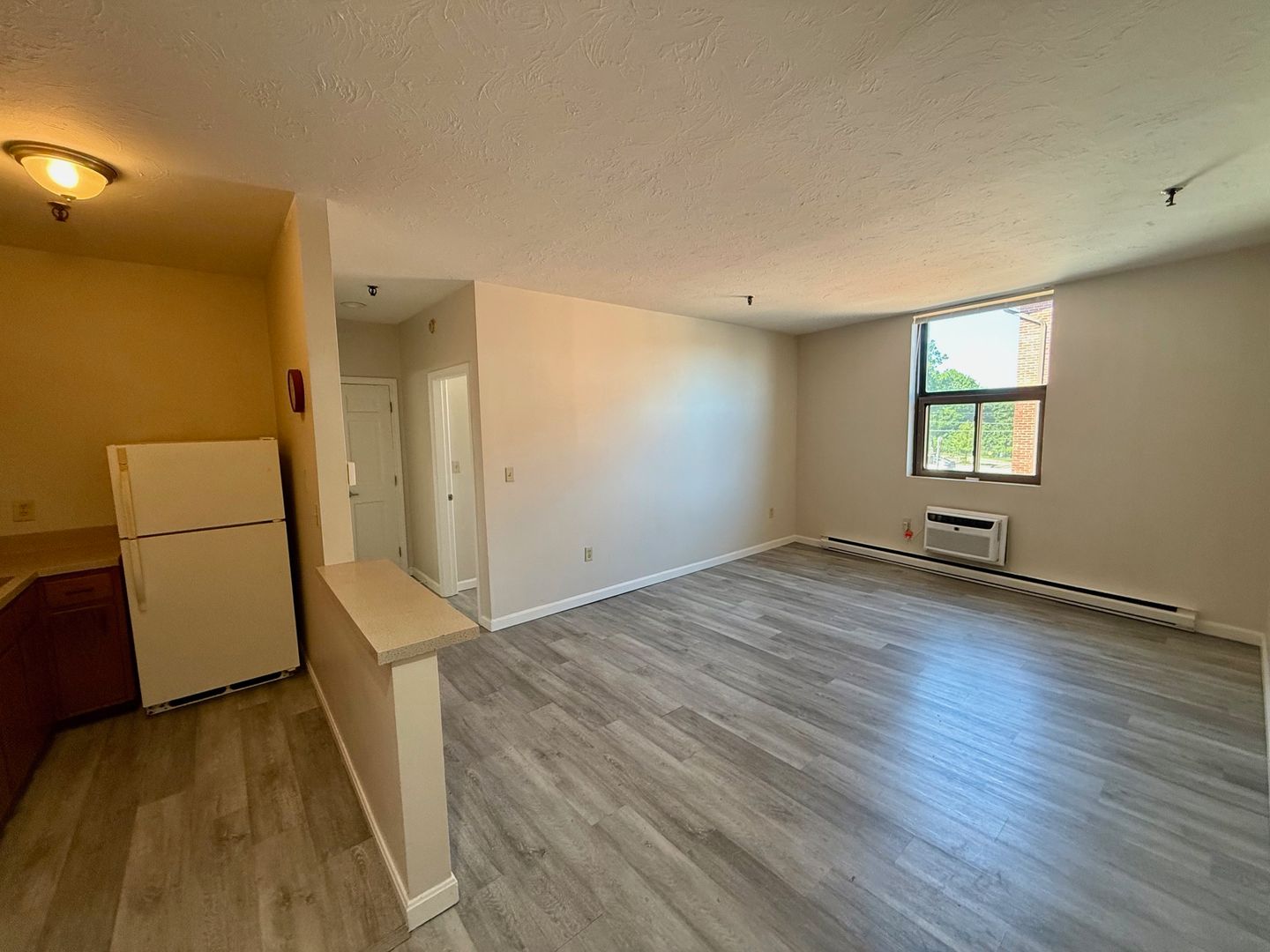 Webster Apartment: 168 Main Street