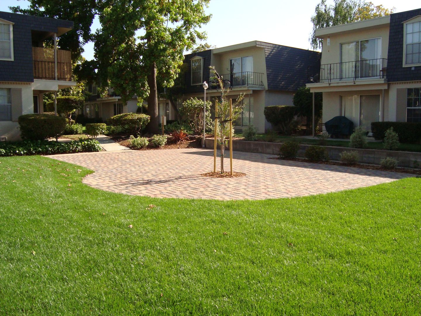 Sunnyvale Apartment: 983 Ponderosa Avenue
