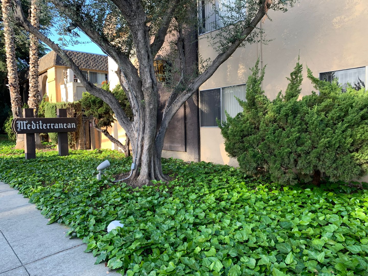 San Jose Apartment: 550 Kiely Boulevard