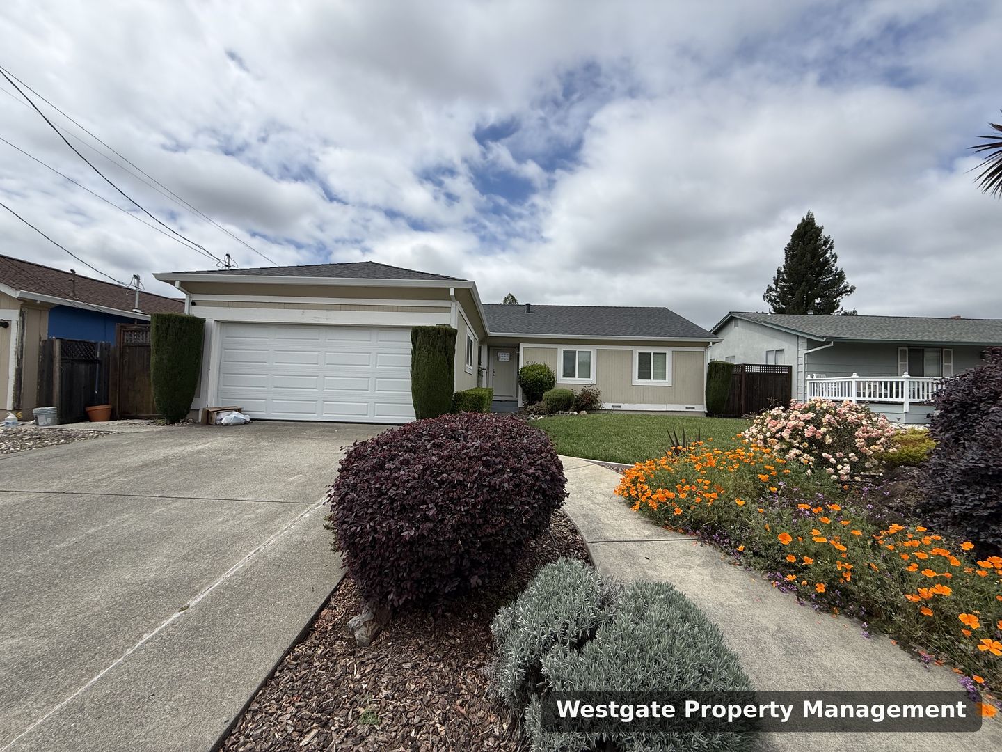 Petaluma House: 1729 Kearny Street