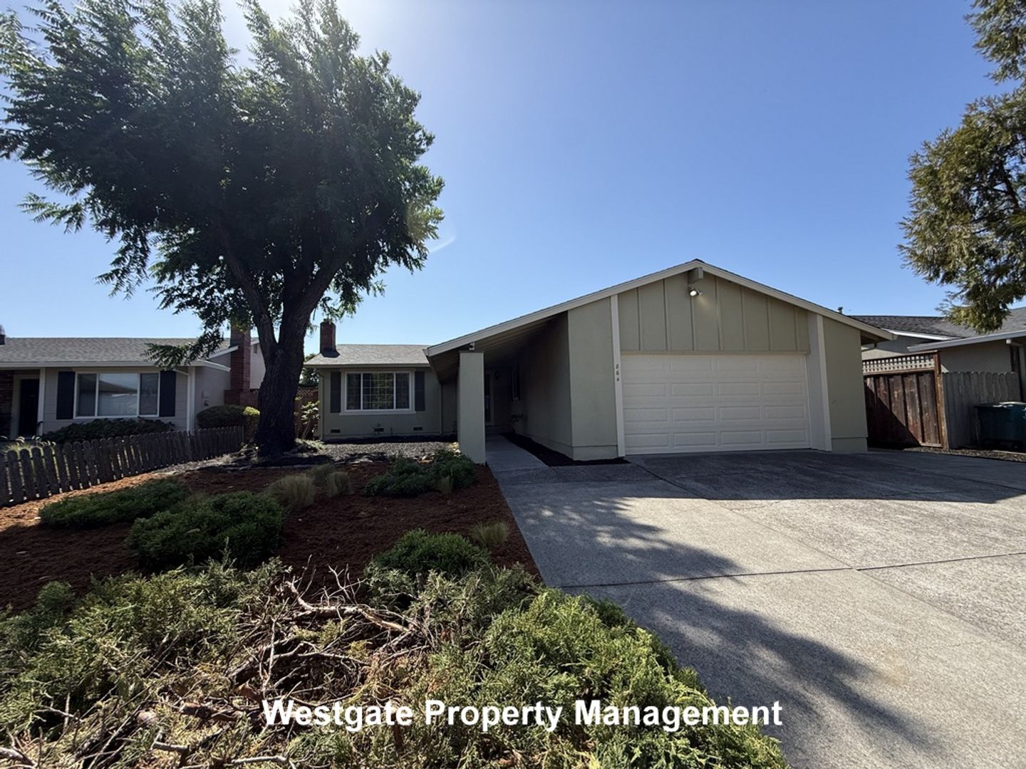 Petaluma House: 864 Crinella Drive