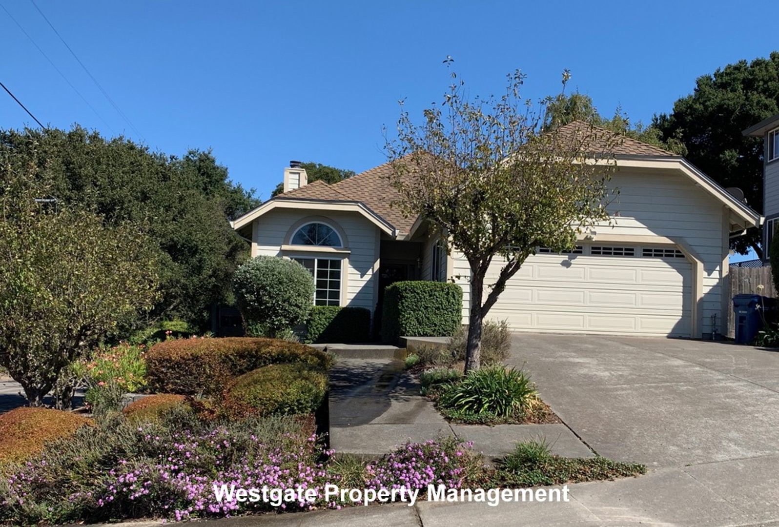 Petaluma House: 1160 Birch Drive