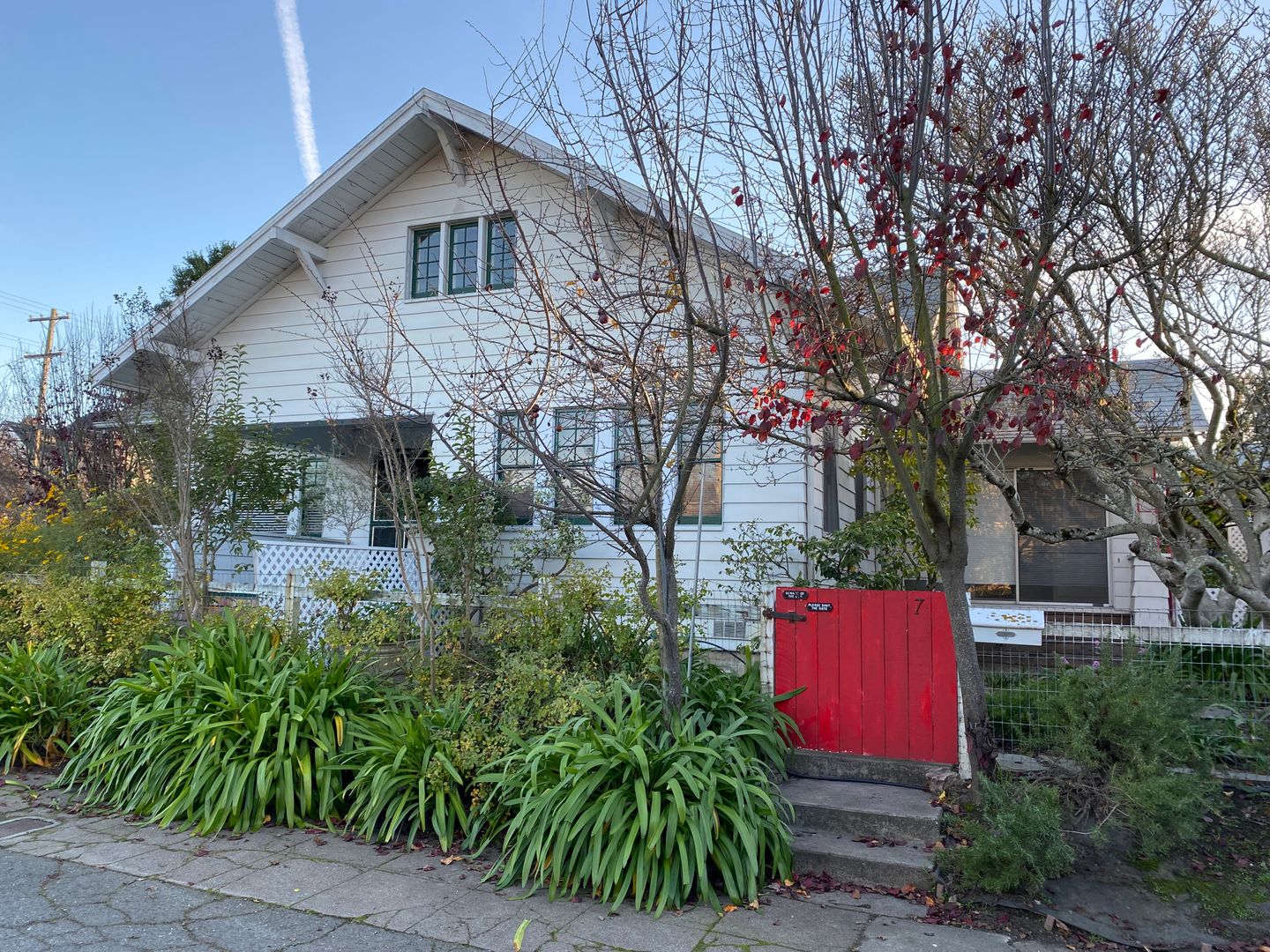 Petaluma Apartment: 800 B Street