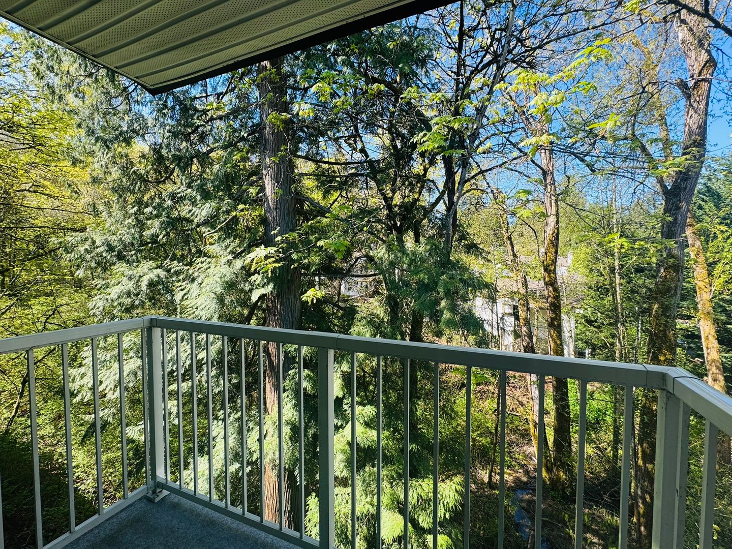 Woodinville Apartment: 12315 NE Woodinville Drive