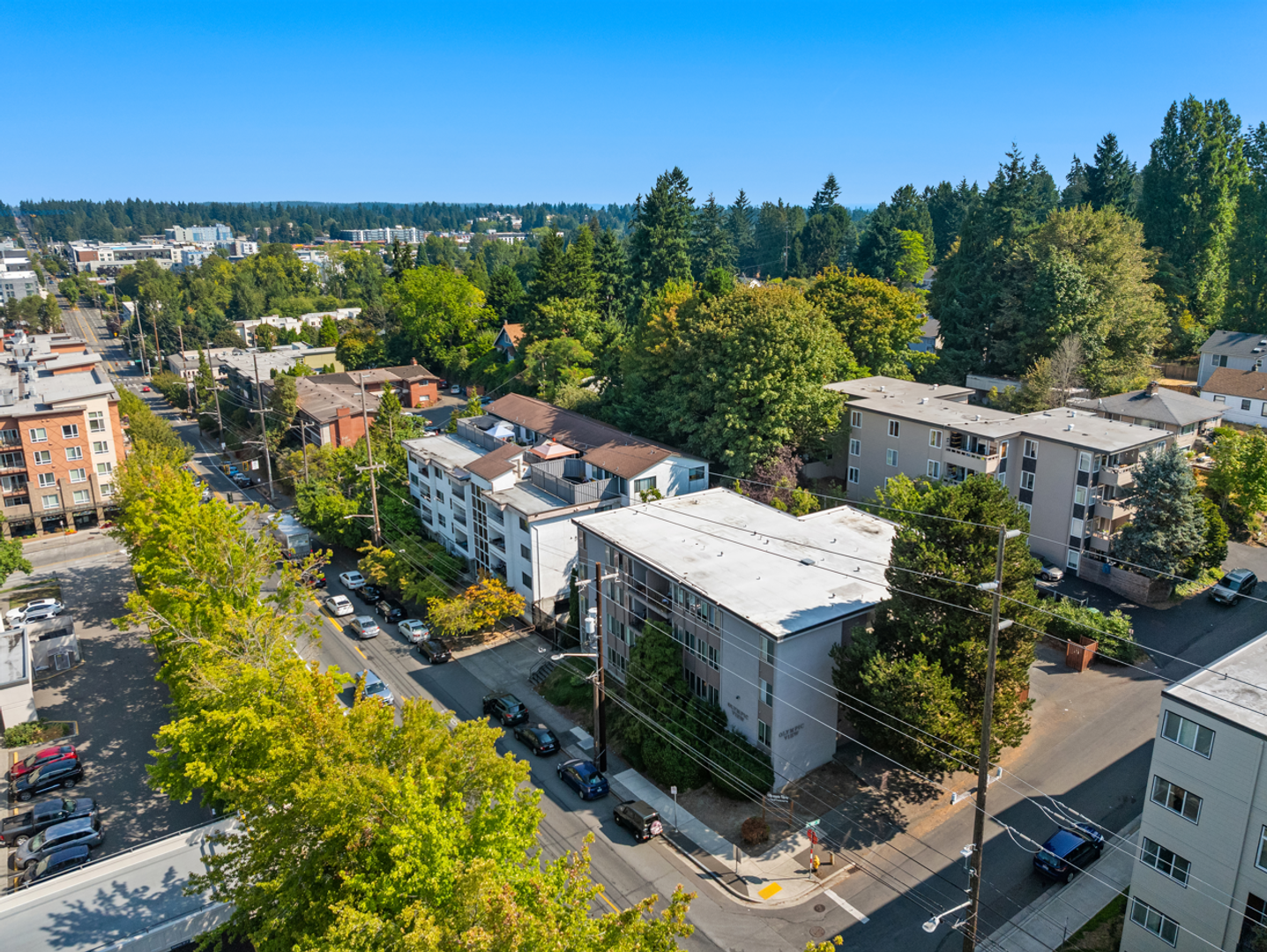 Olympic View Northgate 11 of 11