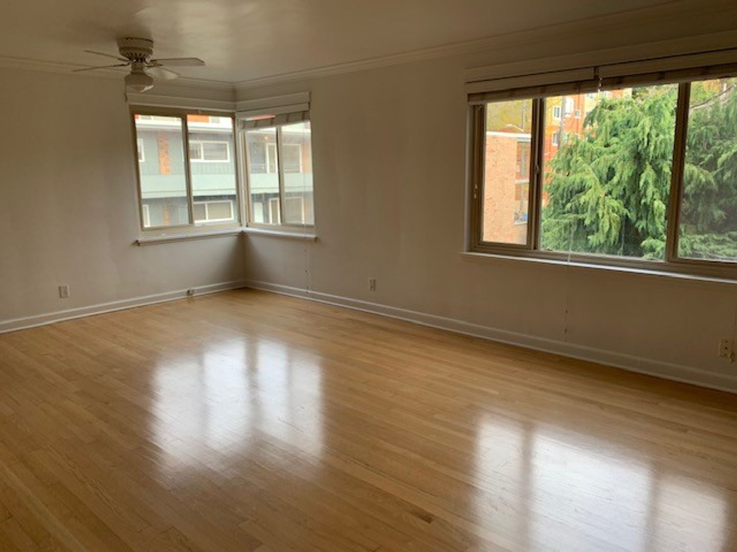 Seattle Apartment: 1205 Queen Anne Ave N - 310