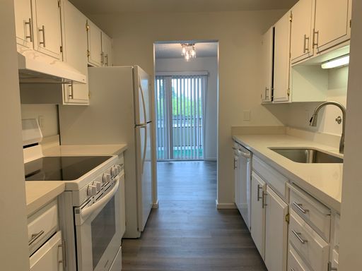 SPACIOUS 2 Bedroom / 1 Bathroom in Shoreline! Huge Courtyard and Private Deck! – photo 1