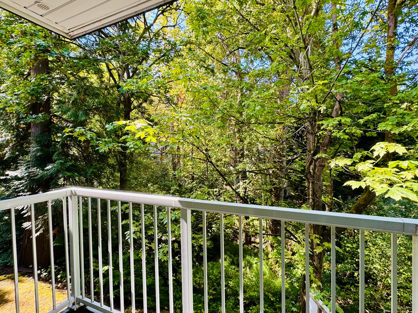 Woodinville Apartment: 12315 NE Woodinville Drive