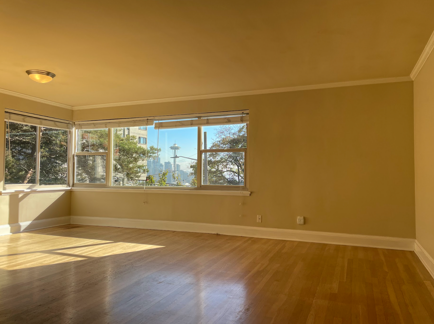 Seattle Apartment: 1205 Queen Anne Ave N
