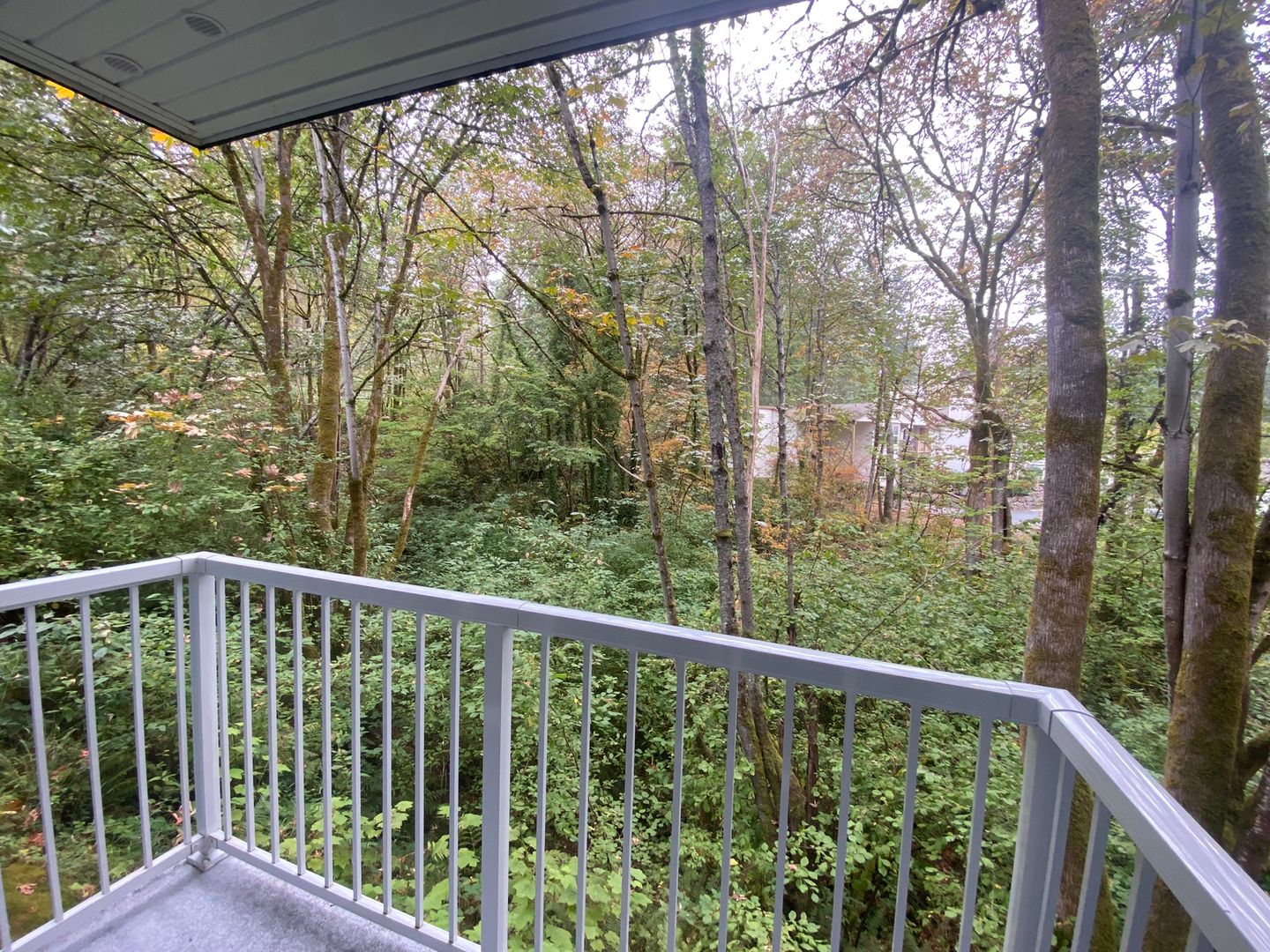 Woodinville Apartment: 12315 NE Woodinville Drive