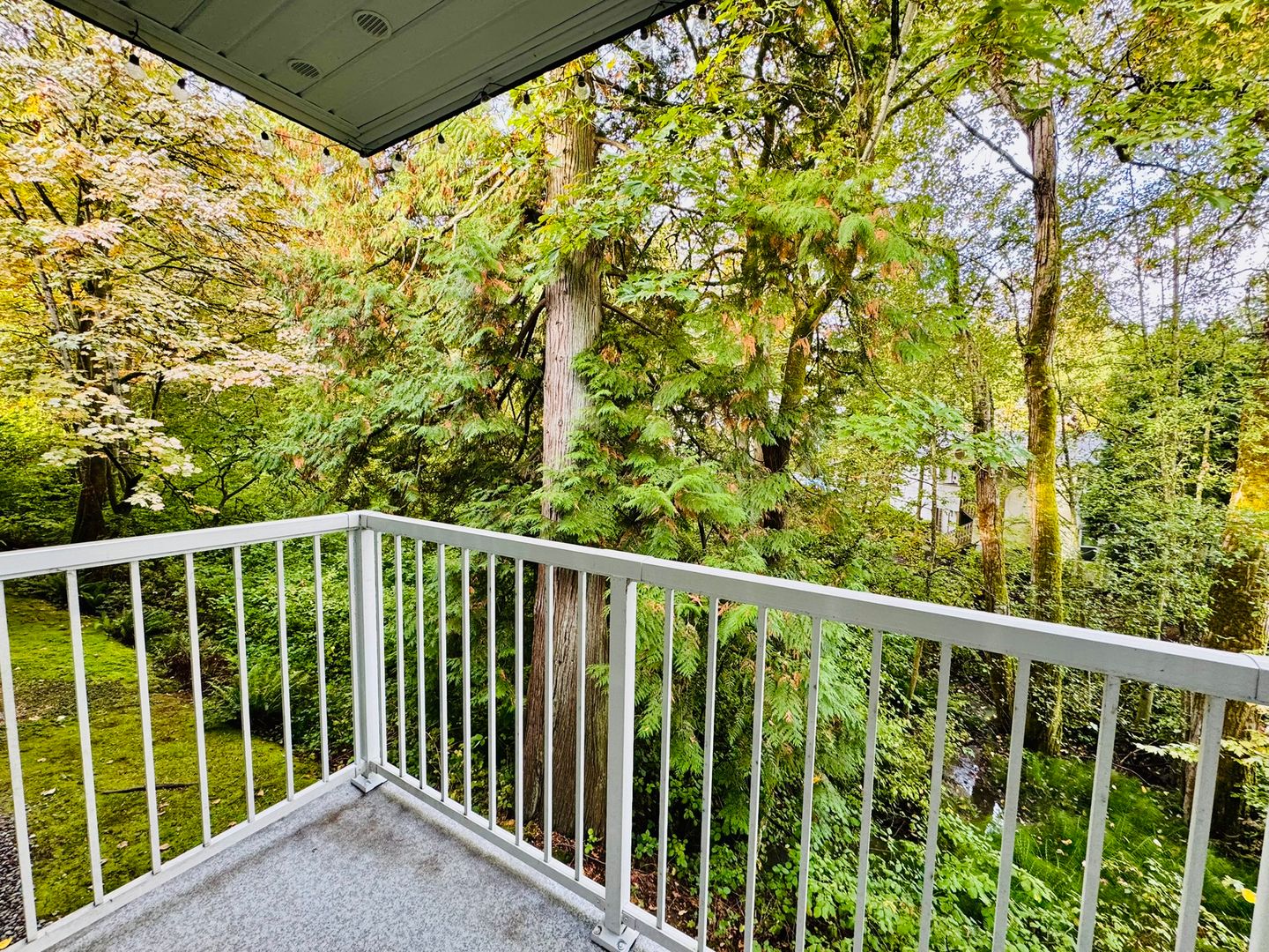 Woodinville Apartment: 12315 NE Woodinville Drive