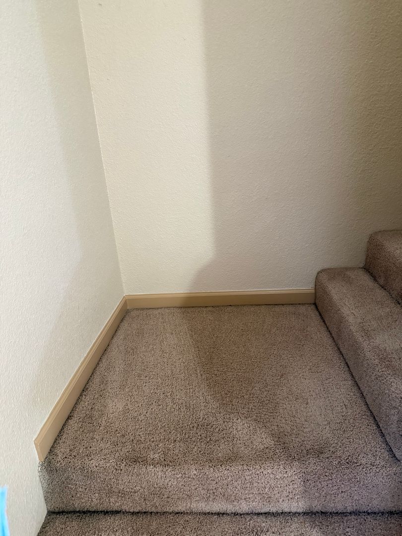 Houston Apartment: 7255 Corporate Dr