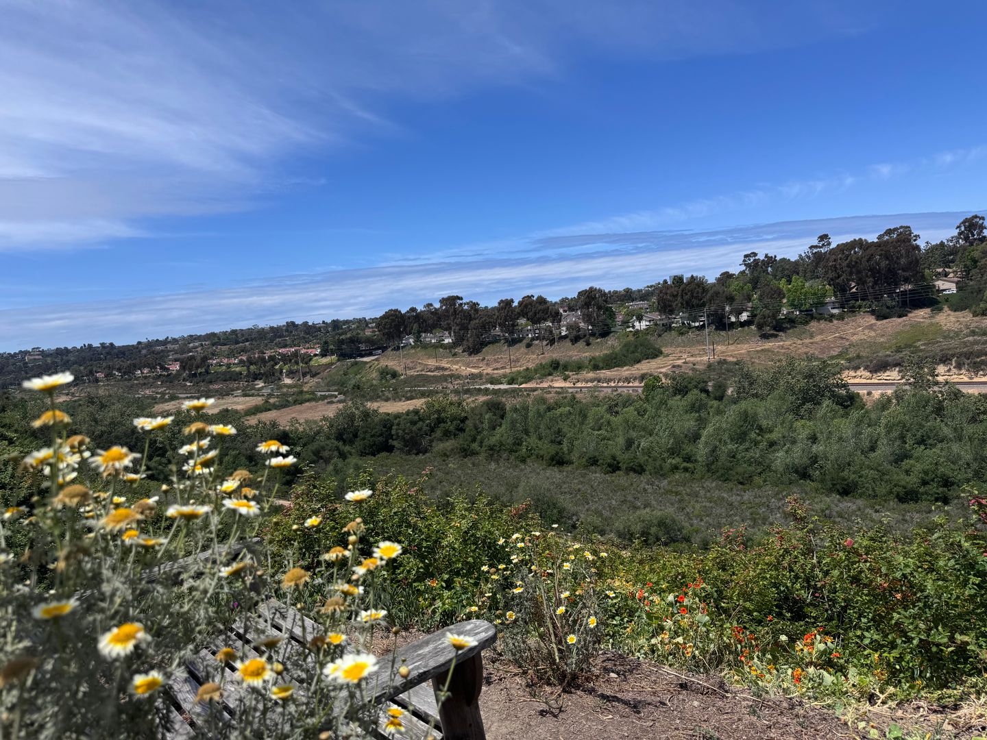 San Diego House: 3175 Galloway Dr