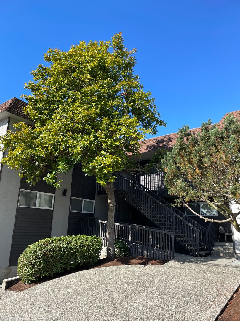Seattle Apartment: 5900 SW Admiral Way