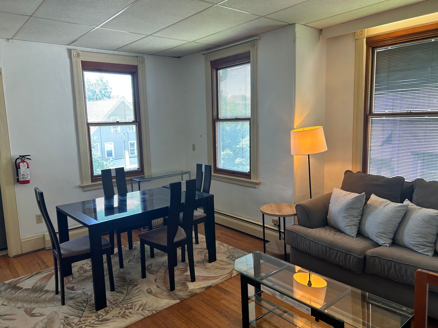 Ithaca Apartment: 127 College Avenue