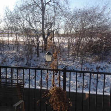 613 N. 1st Avenue - #14, Iowa City, IA 52245