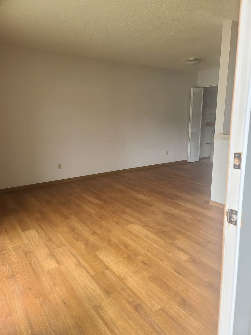 Desloge Apartment: 1009 Hawthorne Street