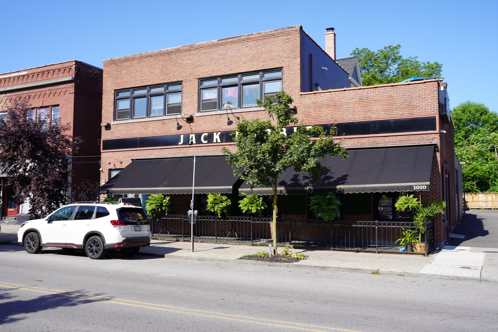 Buffalo Apartment: 1010 Elmwood Ave