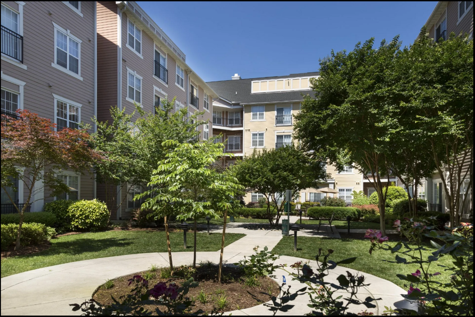 Norfolk Apartment: 1600 Granby St