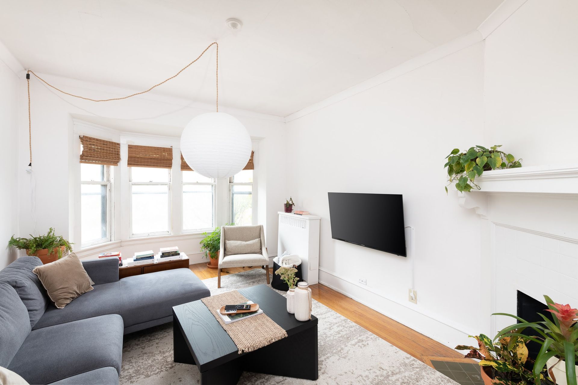 The Shamrock - North