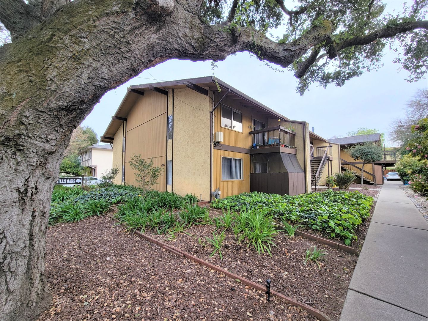 Menlo Park Apartment: 1325 Mills Street, #3
