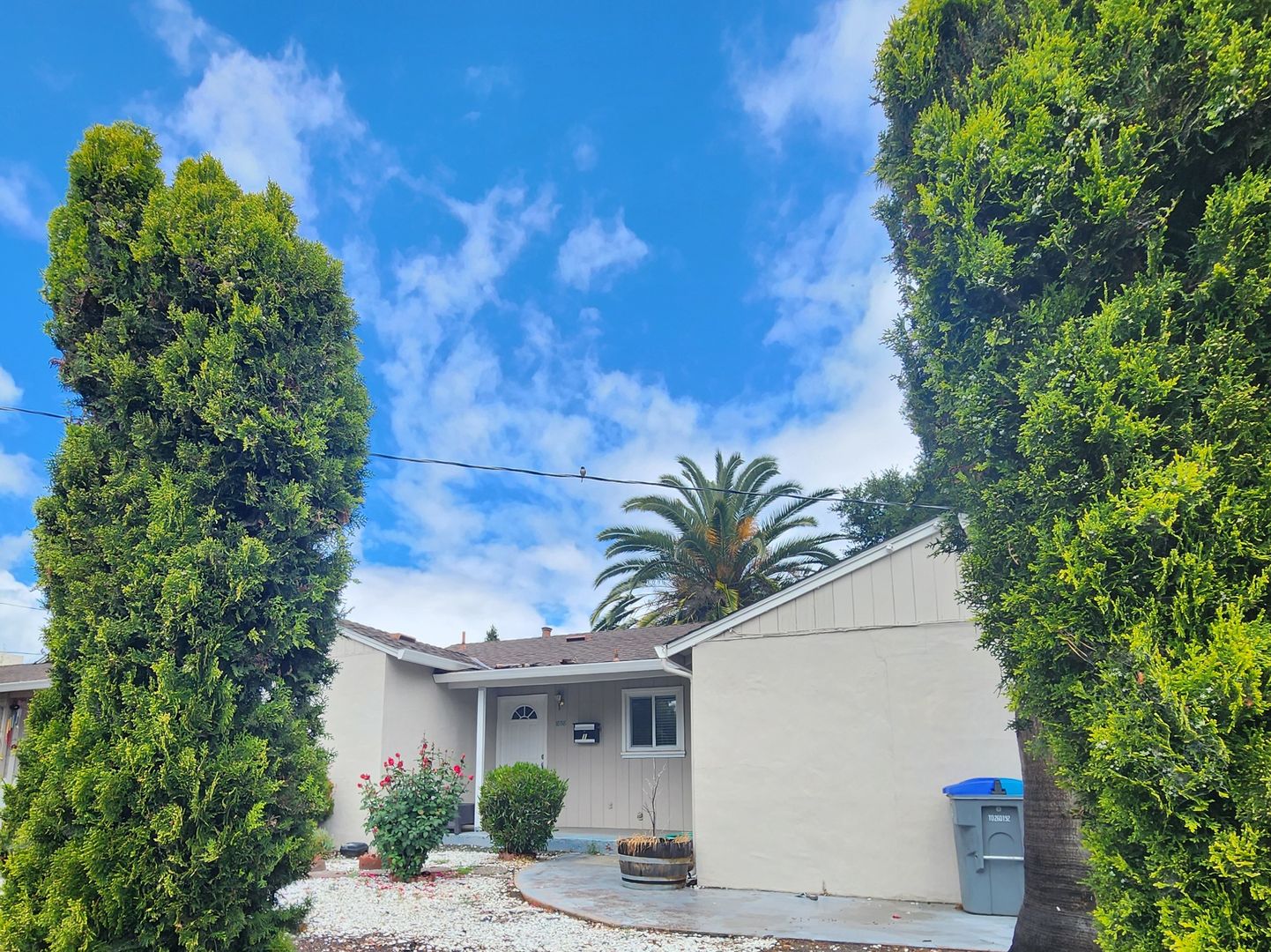 Mountain View Apartment: 1858 Latham Street