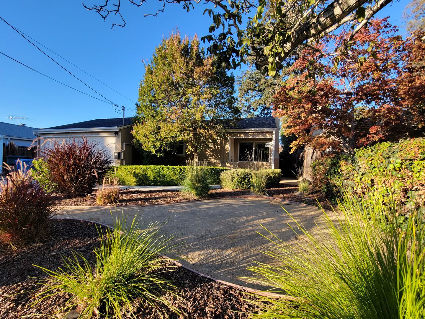 Palo Alto House: 4071 Second Street