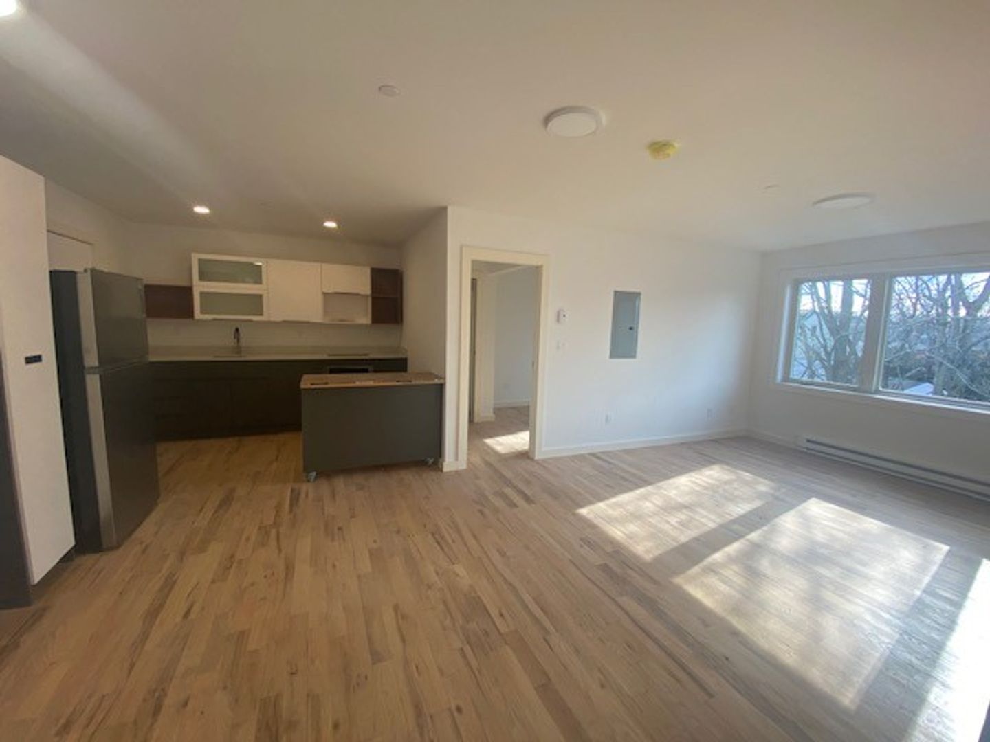 New Haven Apartment: 25 Springside Ave