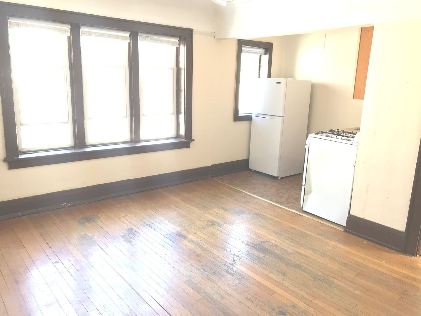 Milwaukee Apartment: 1315 N. Cass St.