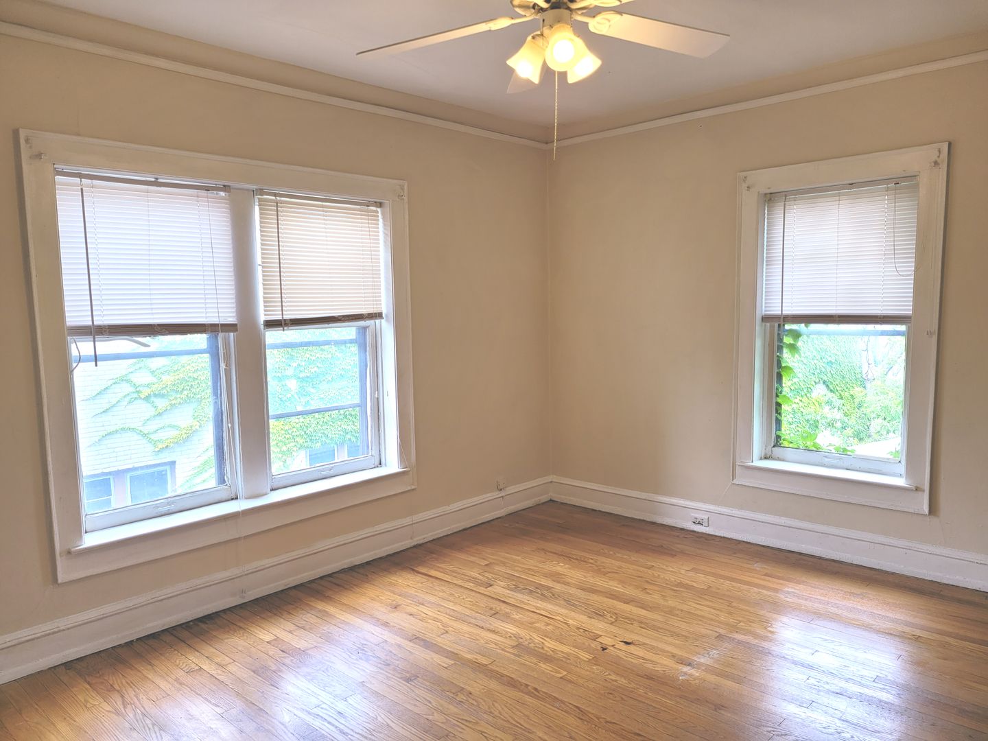 Milwaukee Apartment: 1303 N. Cass St.