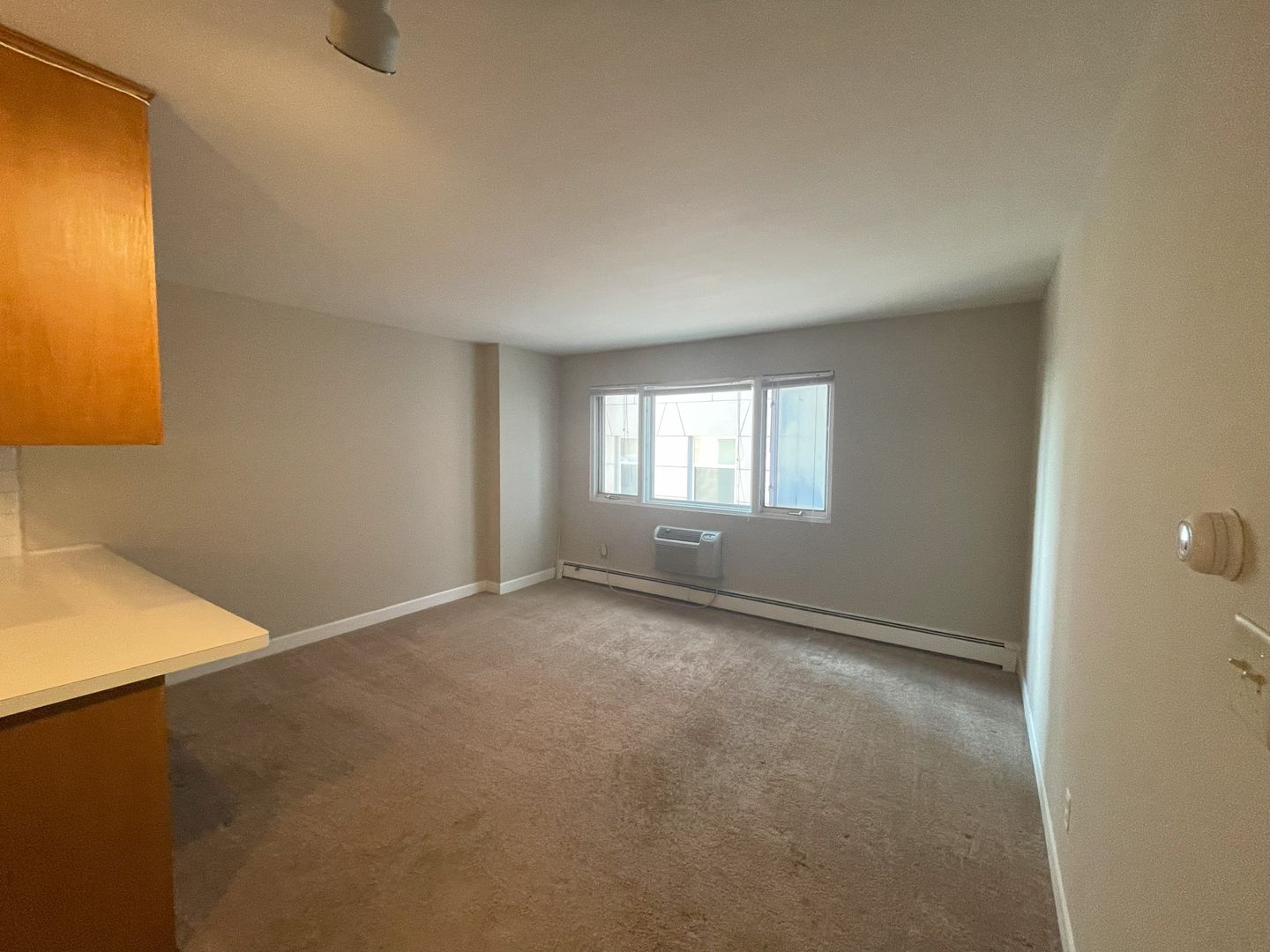 Milwaukee Apartment: 1321 N Franklin Pl