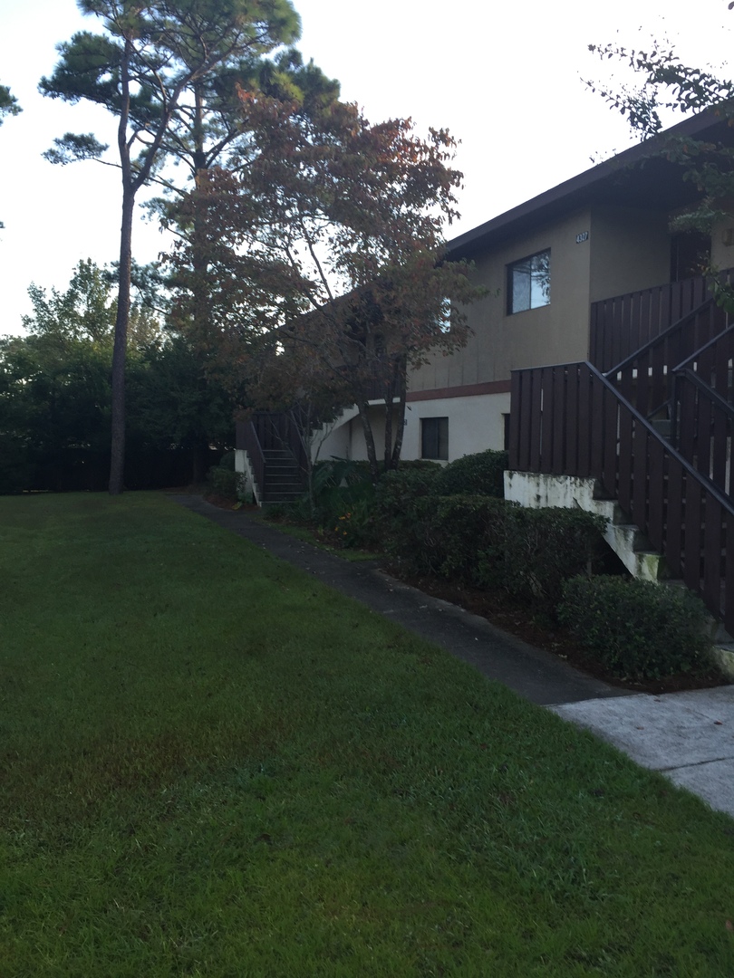 Wilmington House: 4317 Holly Tree